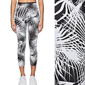 Live The Process Black Palm Cropped Pants